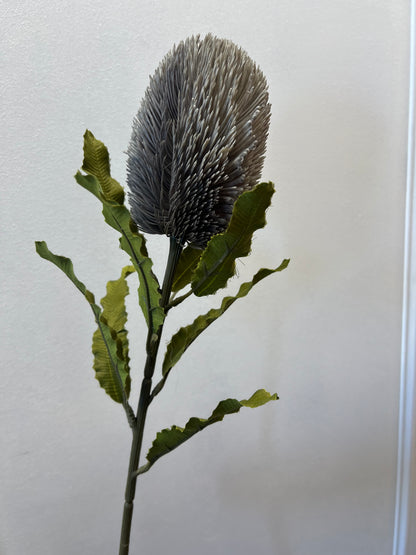 65cm Large Banksia Grey