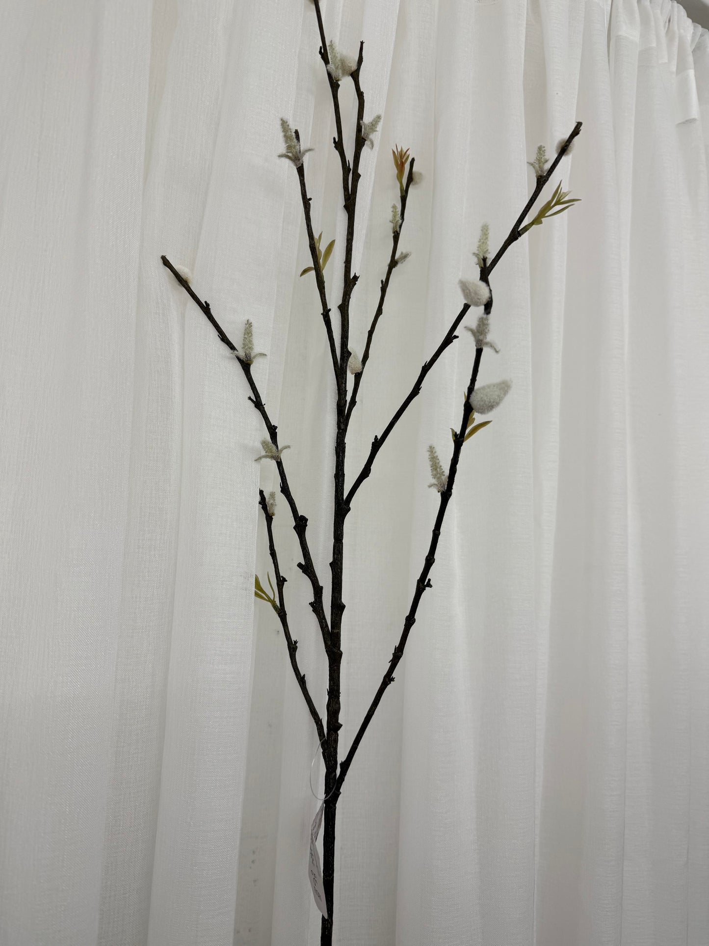 White Pussy Willow Spray