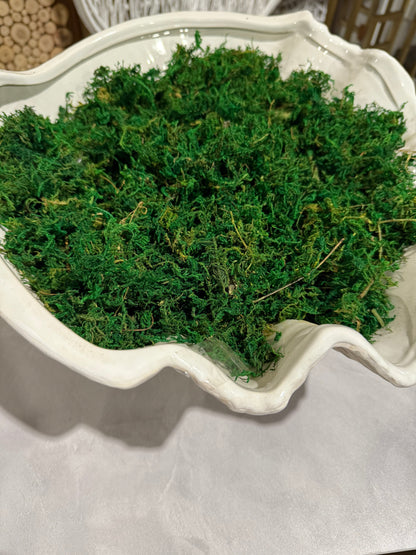 Bag of Real Natural Moss