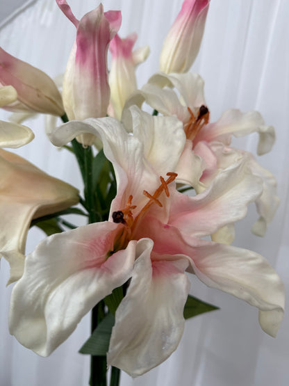 Lillie Spray Stems
