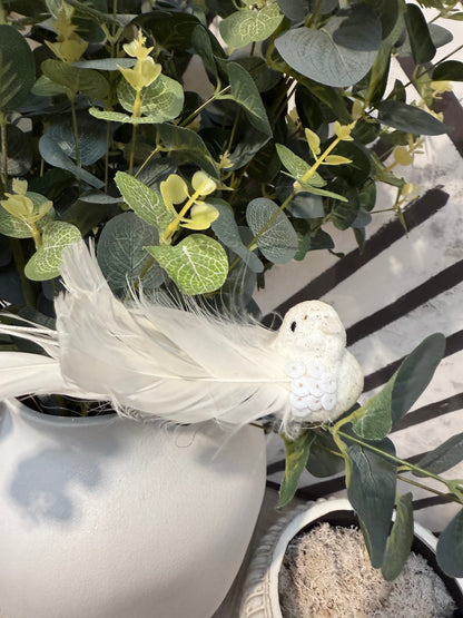 Christmas Bird Decorations