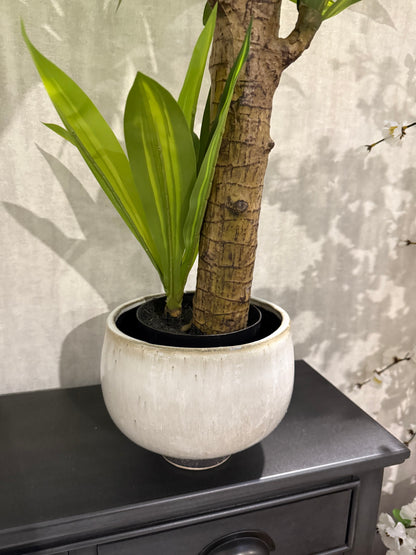 Earth Ware Speckled Pot