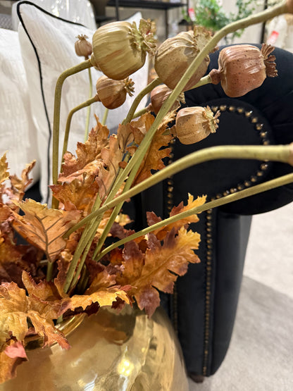 Brown and Pink Poppy Seed Stem