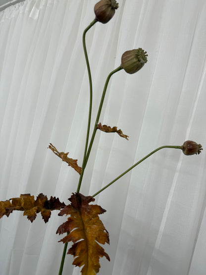 Brown and Pink Poppy Seed Stem