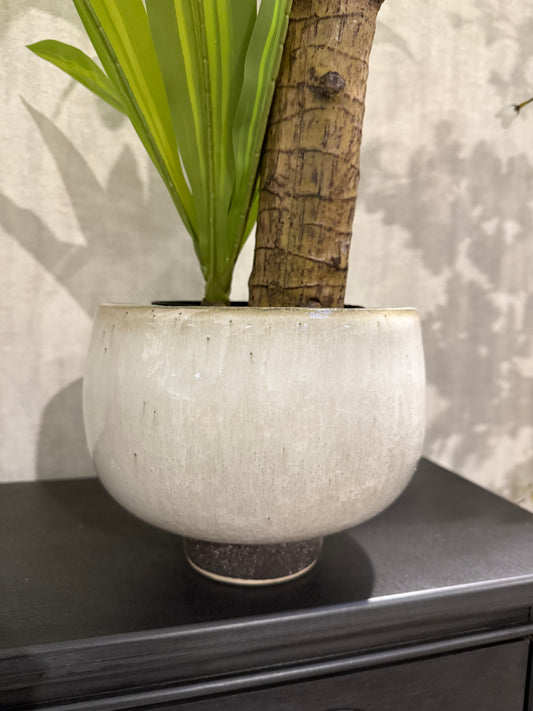 Earth Ware Speckled Pot