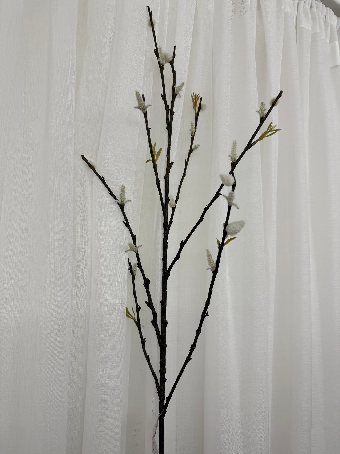 White Pussy Willow Spray