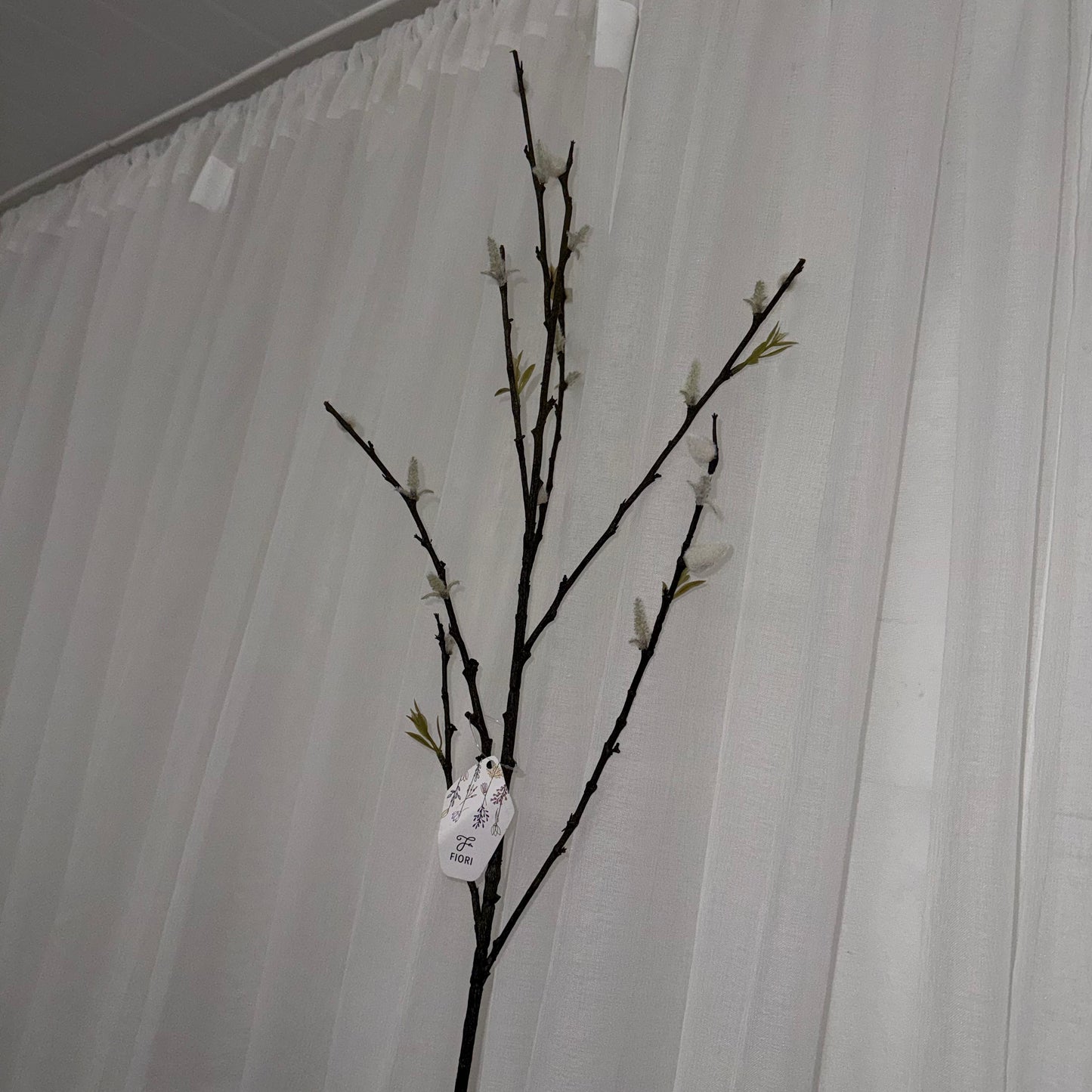 White Pussy Willow Spray