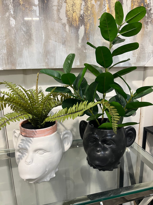 Monkey Head Planter White/ Black