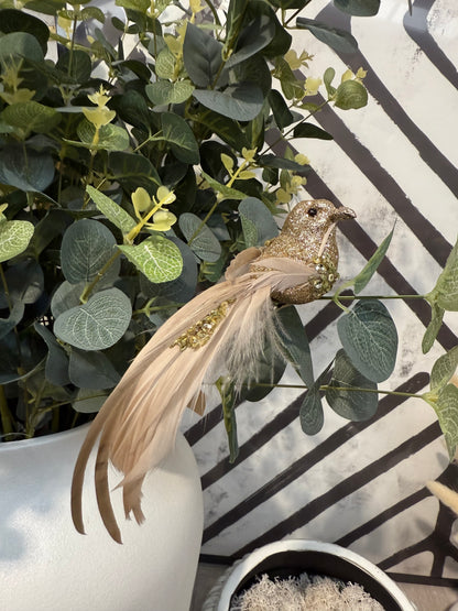 Christmas Bird Decorations