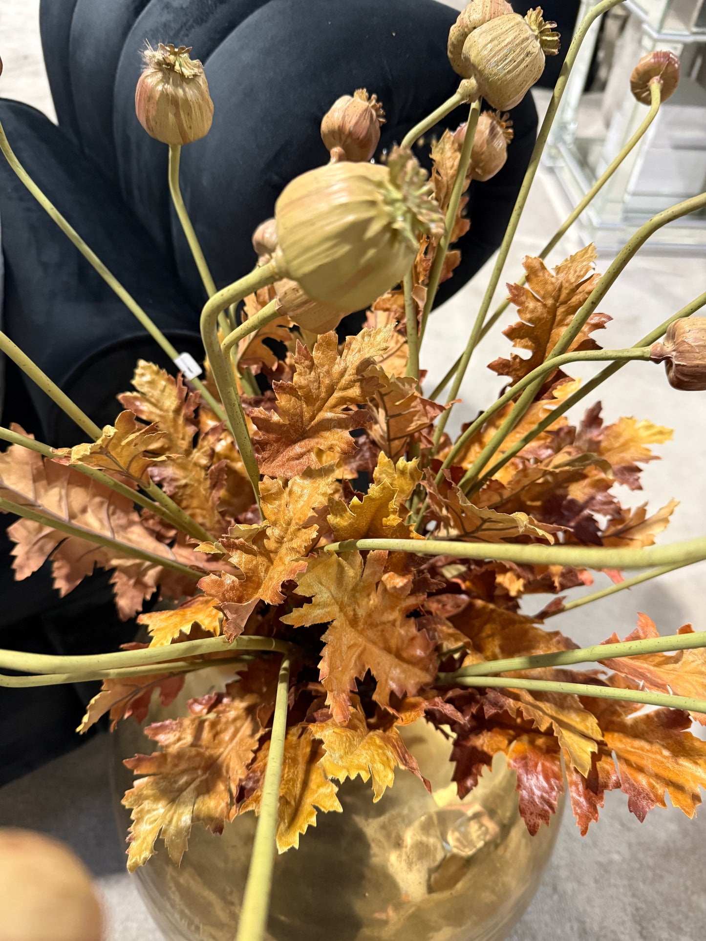 Brown and Pink Poppy Seed Stem
