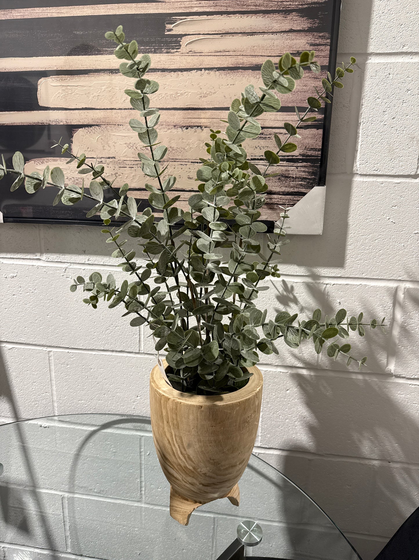 Eucalyptus Potted Plant