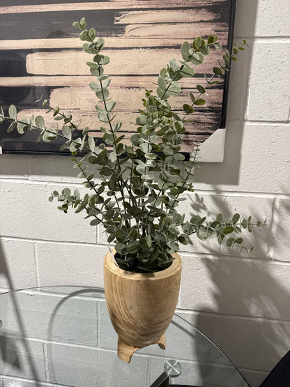 Eucalyptus Potted Plant