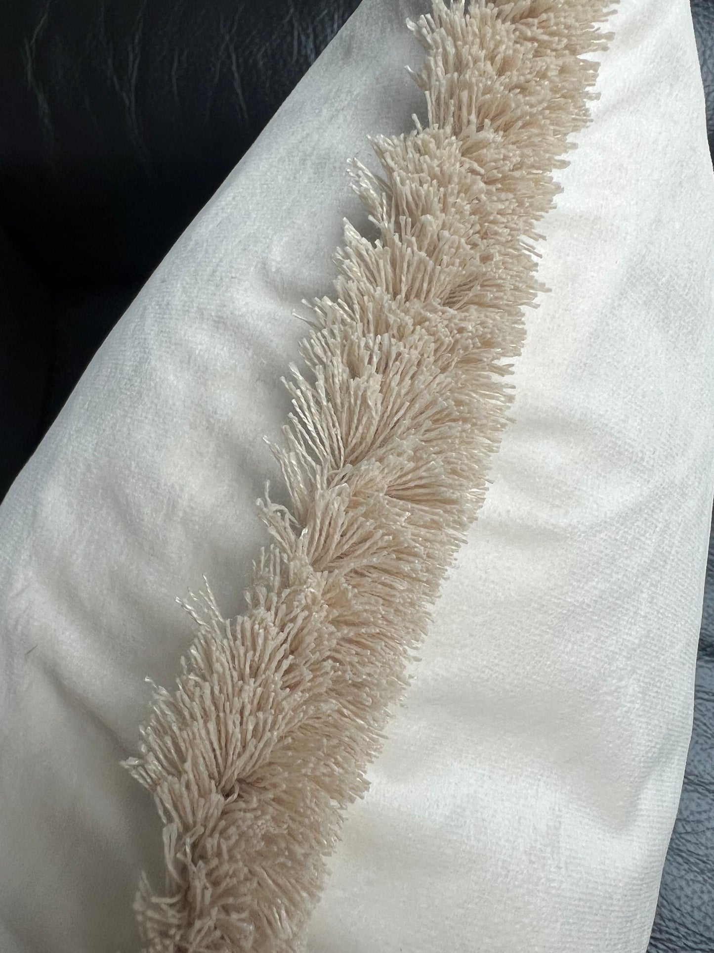 Ivory Fringed Cushion