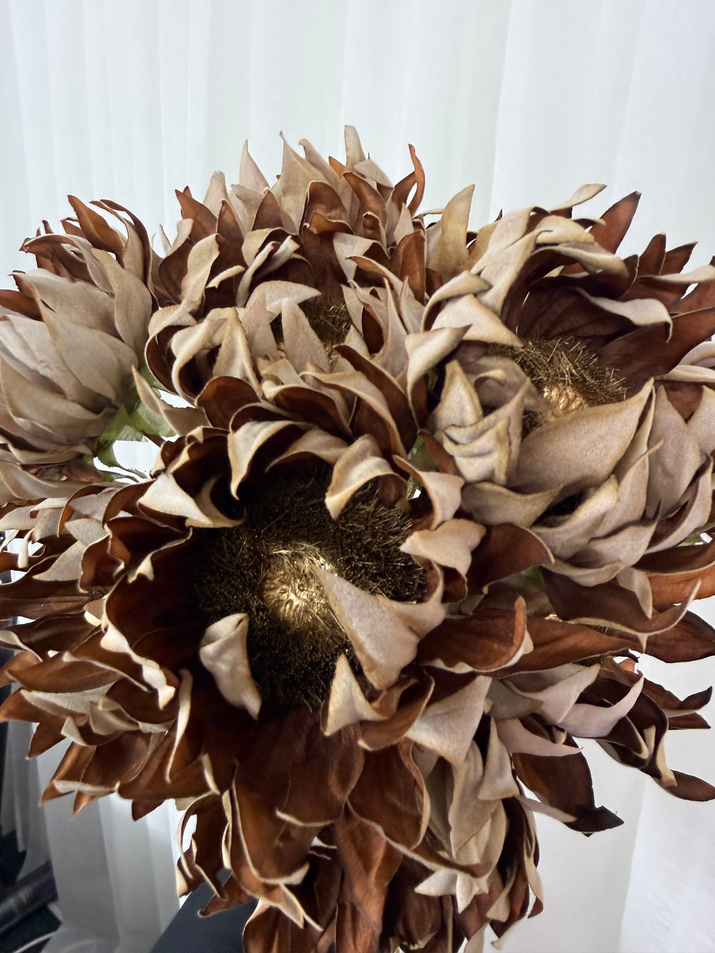 Carob Sunflower Stem