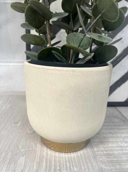 Stella Vase Collection