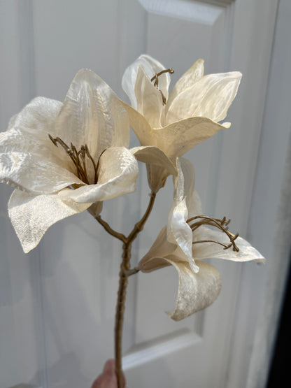 Ivory Amaryllis Stem