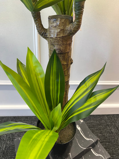 80cm Artificial Dracaena Plant