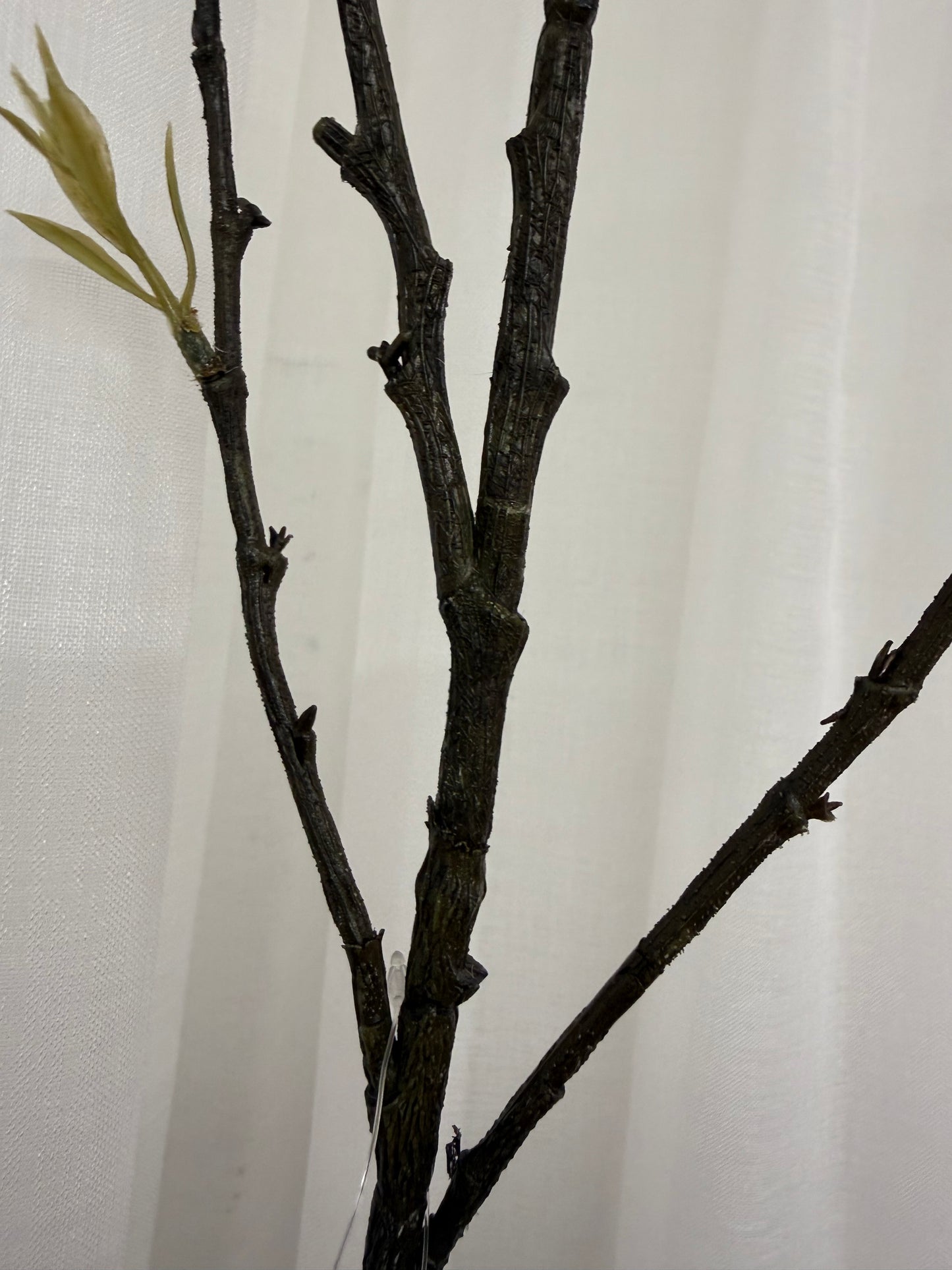 White Pussy Willow Spray