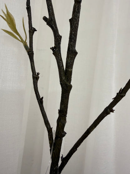 White Pussy Willow Spray