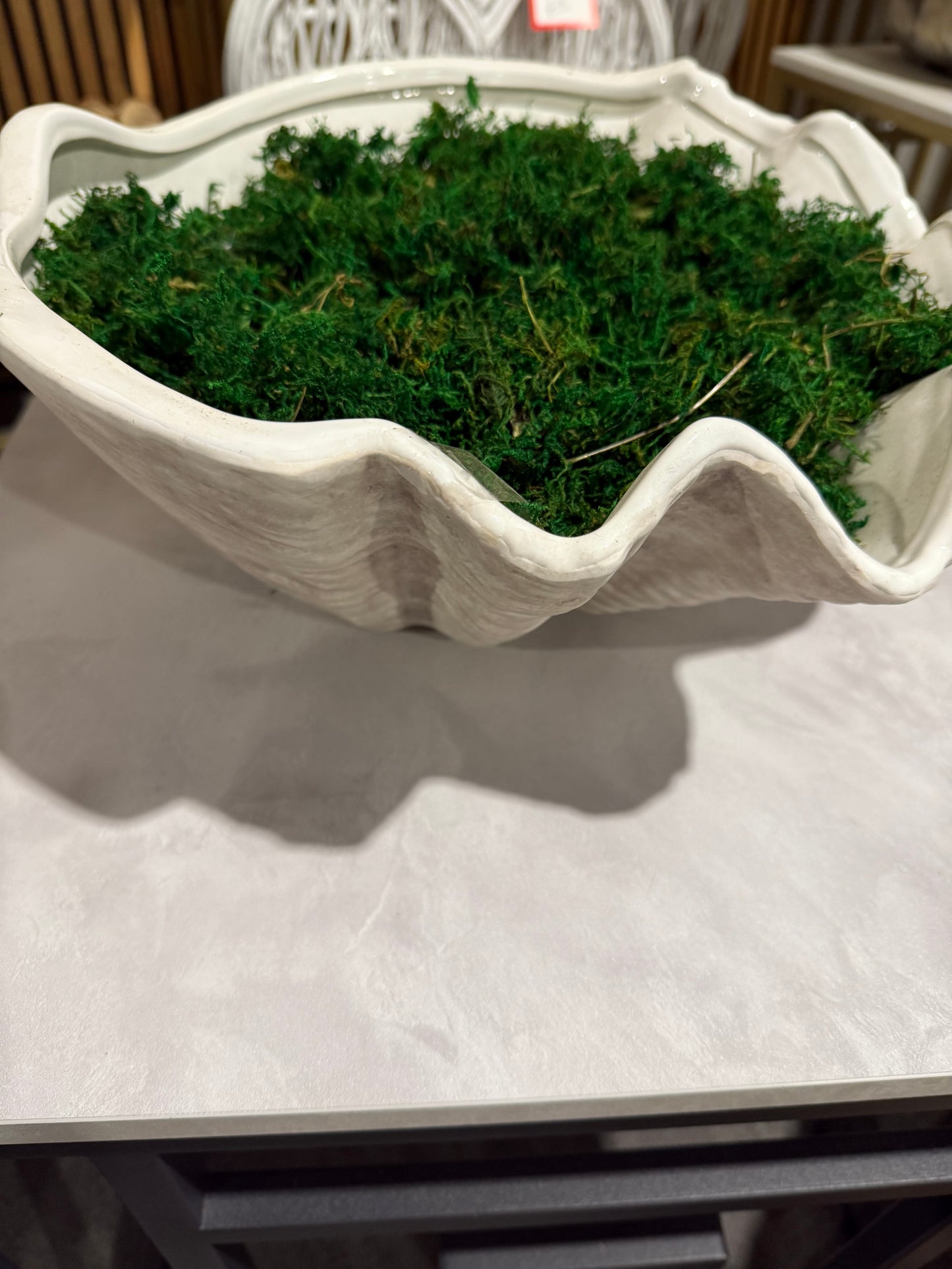 Bag of Real Natural Moss