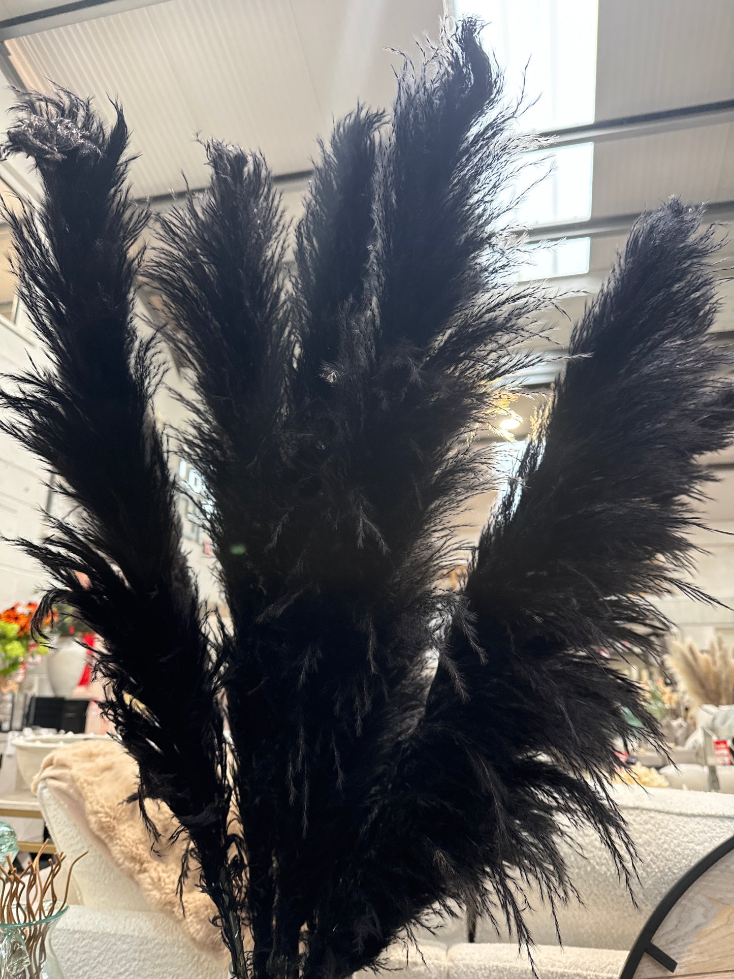 Pampas Grass - X Large Stem- Black, White, beige.