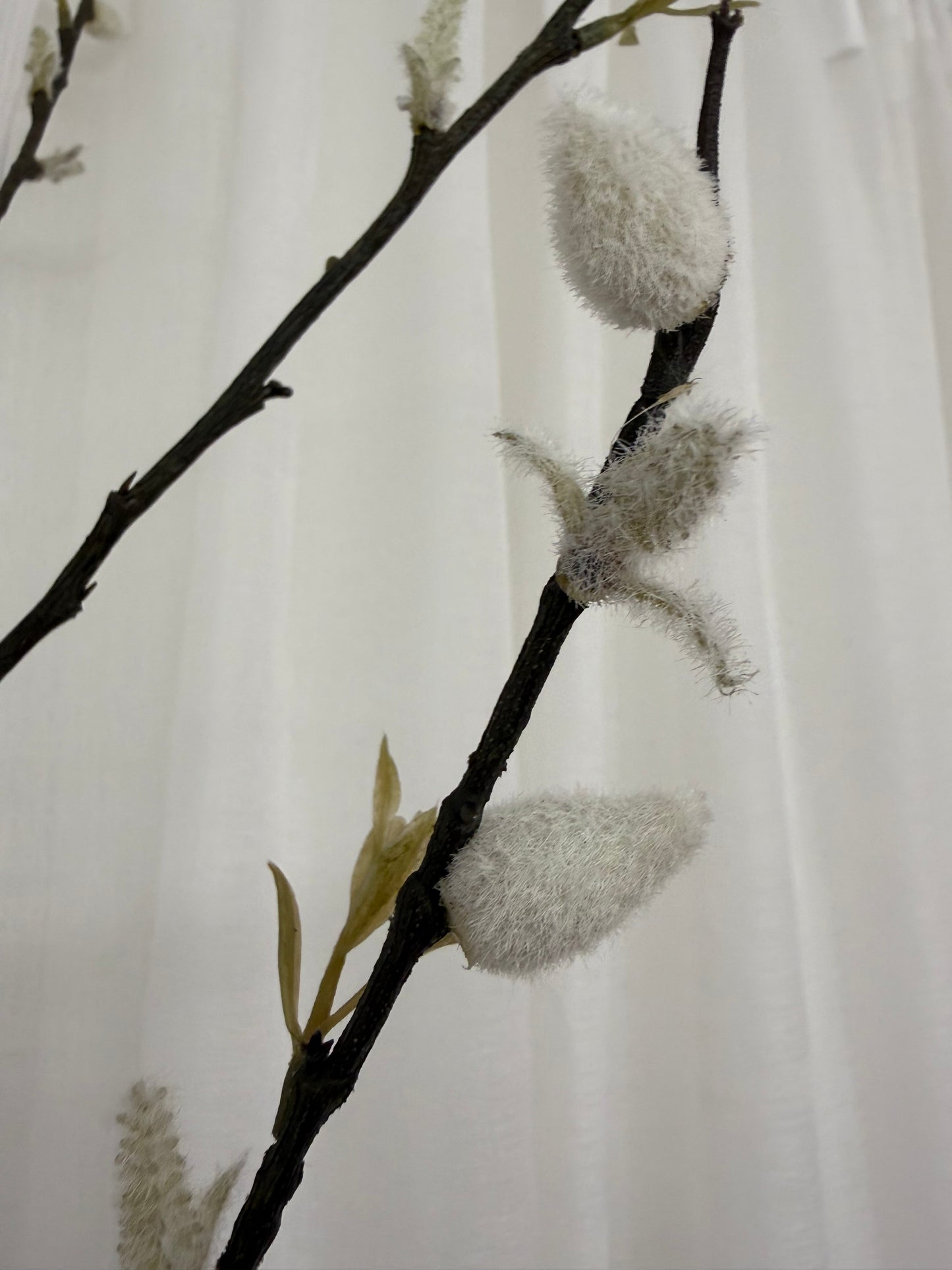 White Pussy Willow Spray