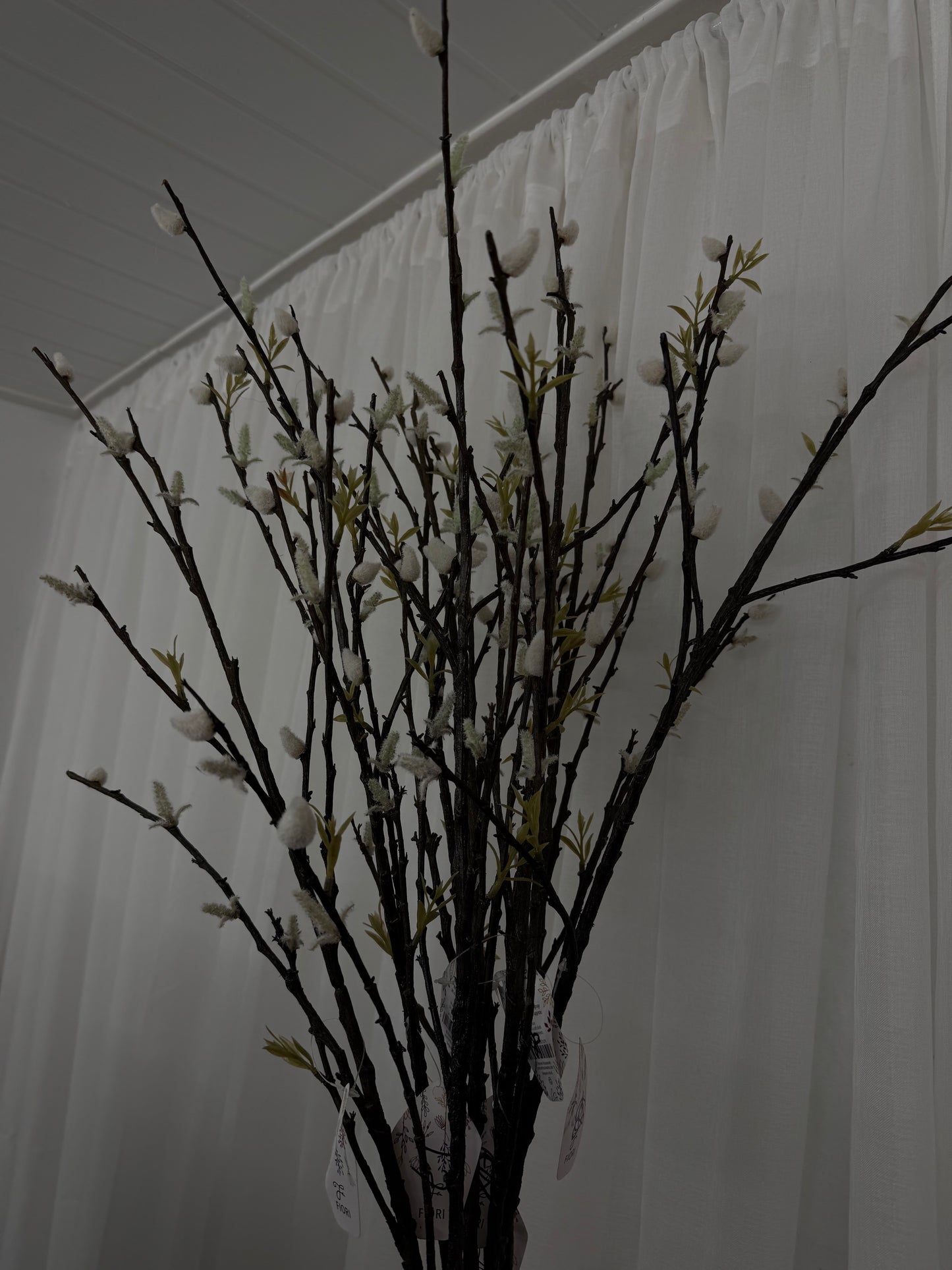 White Pussy Willow Spray