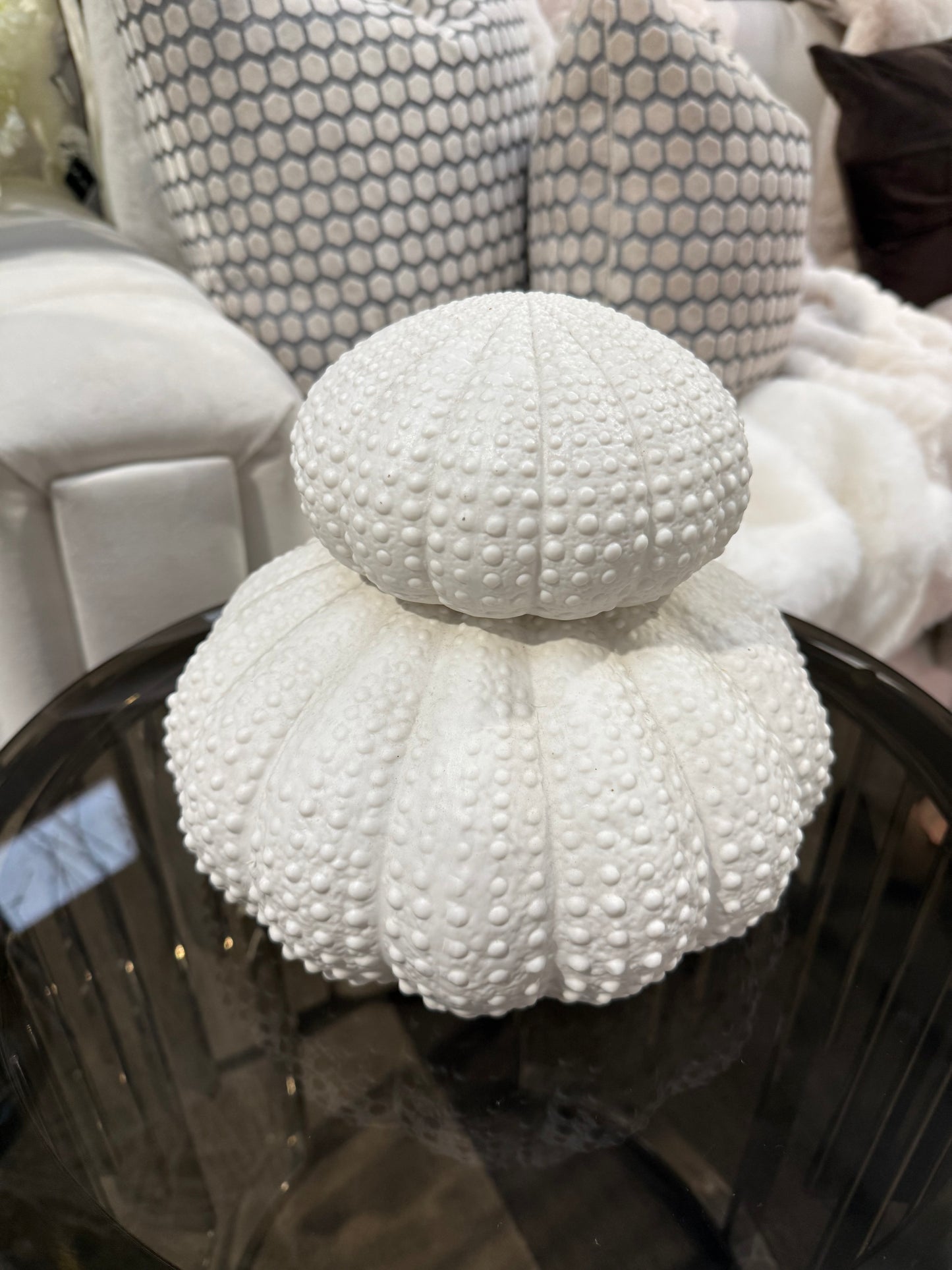 White Urchin Decor Set
