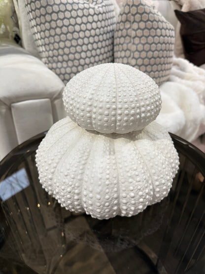 White Urchin Decor Set