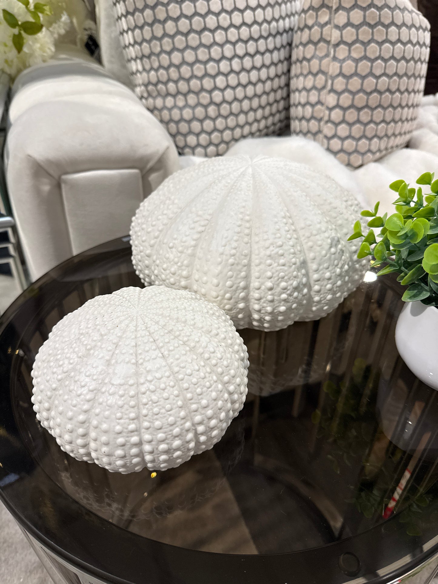 White Urchin Decor Set