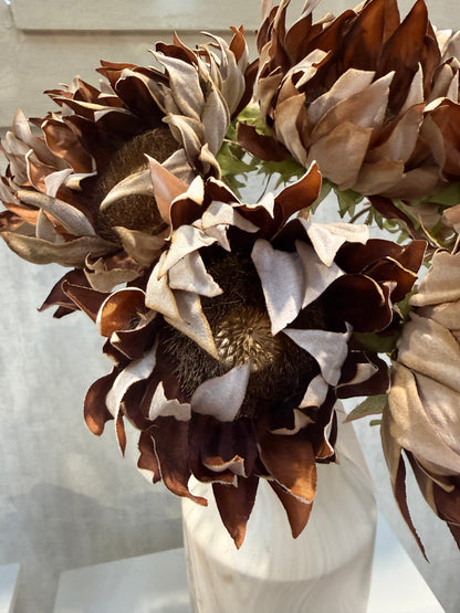 Carob Sunflower Stem