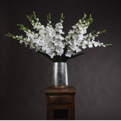 White Gladiola Stems