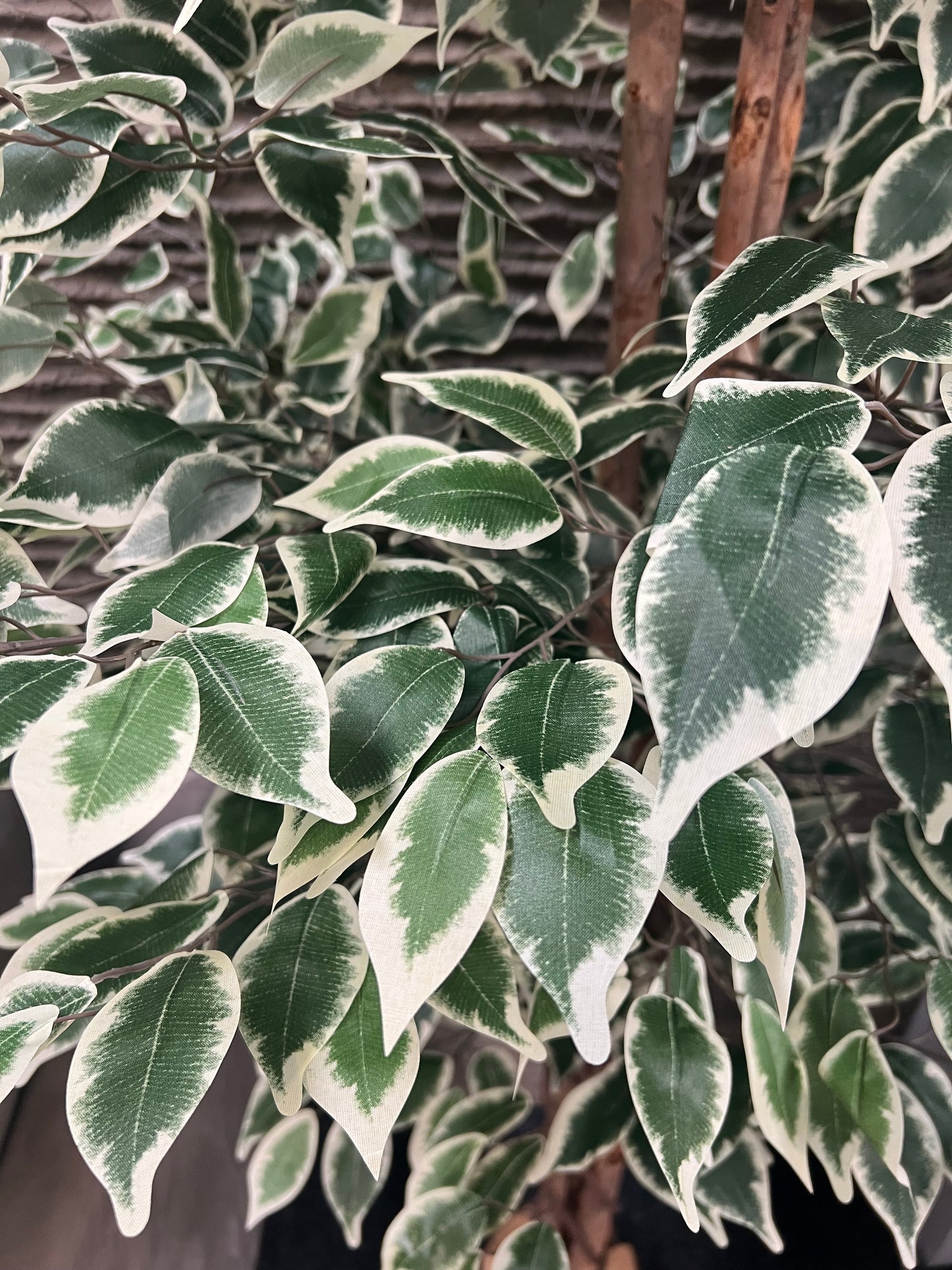 Variegated Green Artificial Fiscus Tree - 6ft