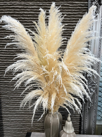 Neutral Pampas Grass - Large Stem