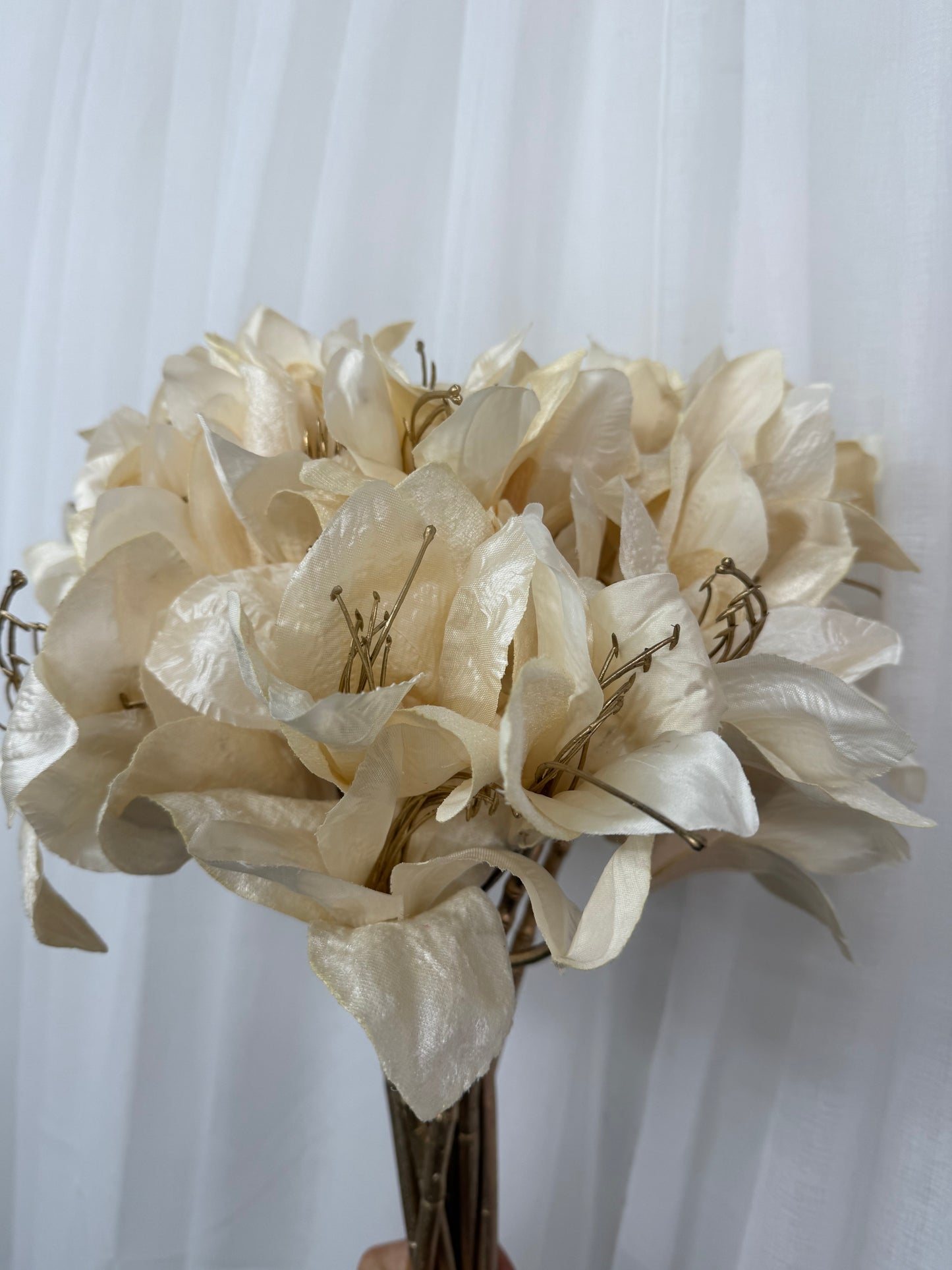 Ivory Amaryllis Stem