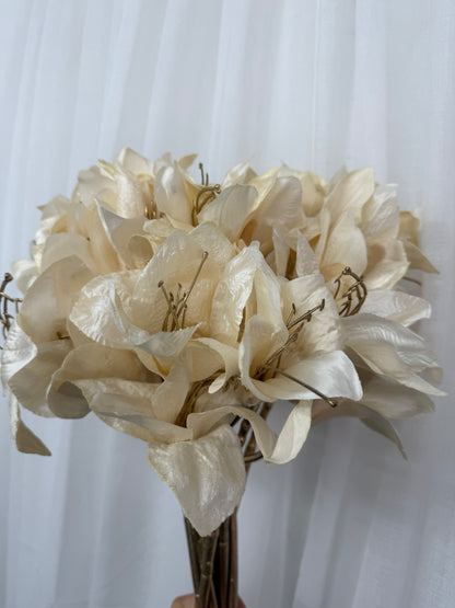 Ivory Amaryllis Stem