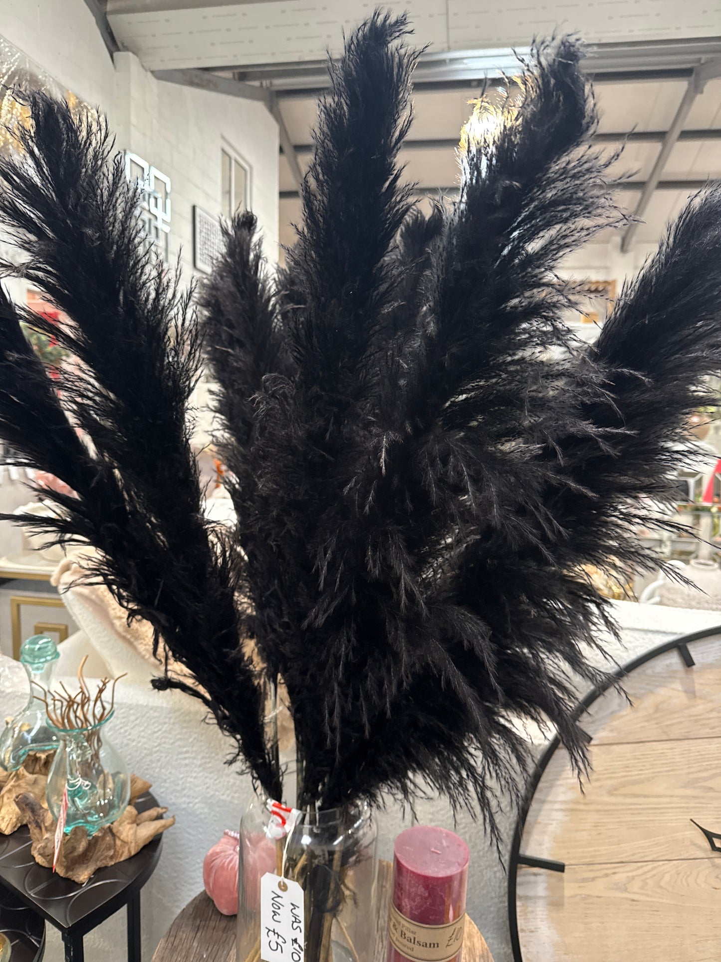 Pampas Grass - X Large Stem- Black, White, beige.