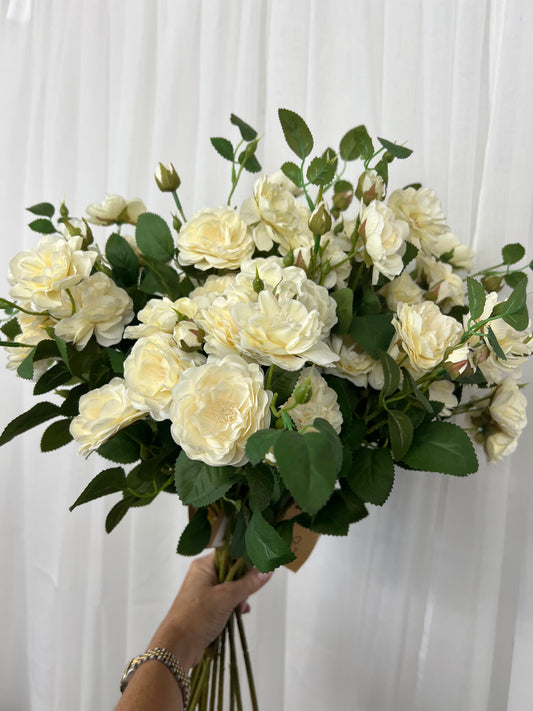 Soft White Cottage Rose Stem