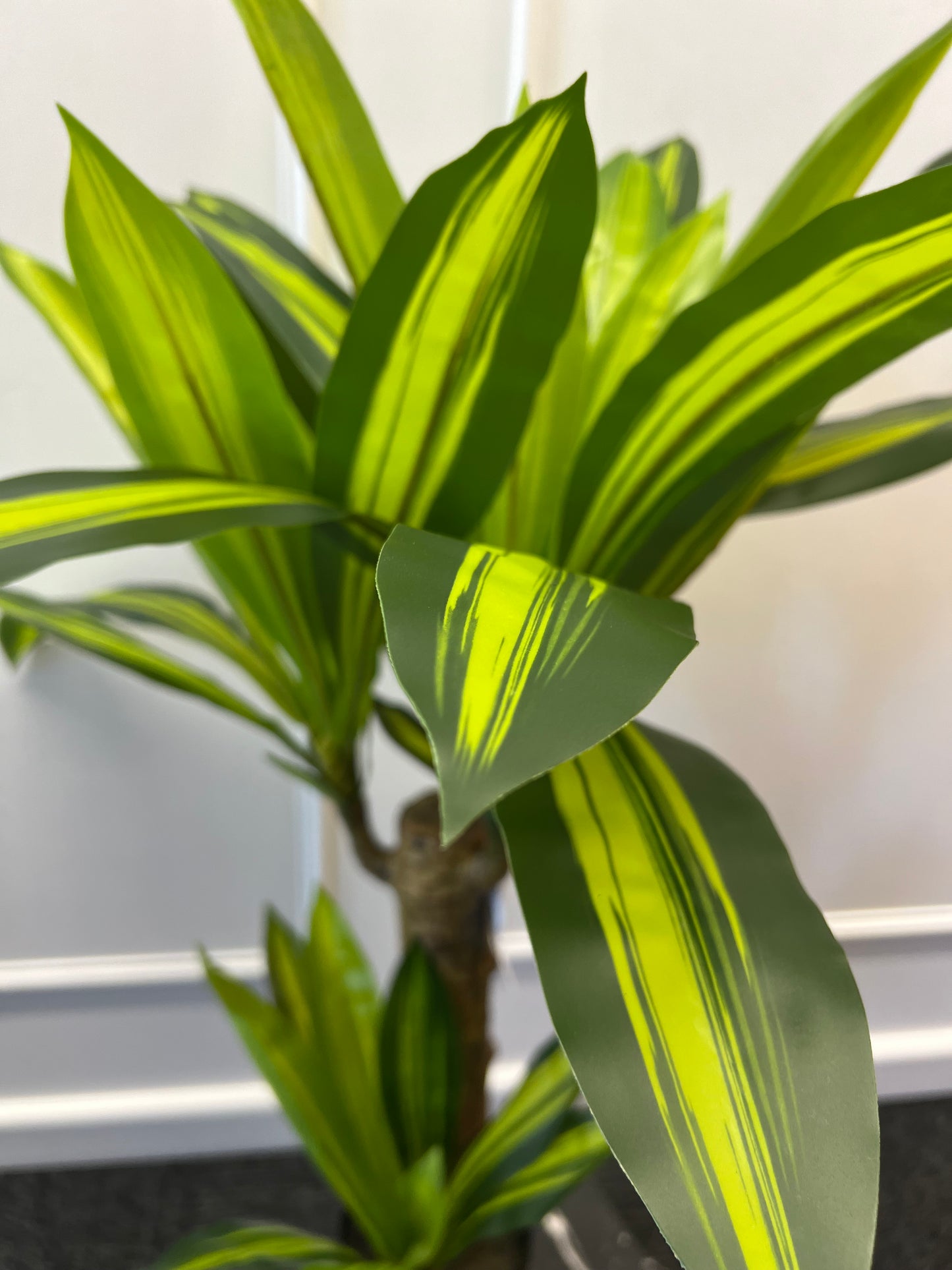 80cm Artificial Dracaena Plant