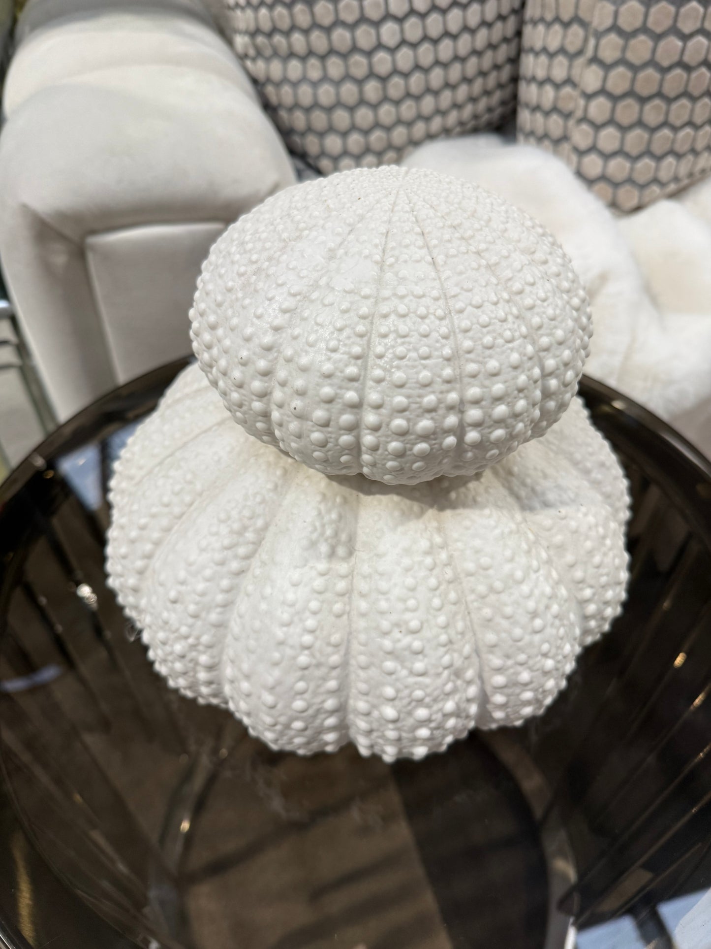 White Urchin Decor Set