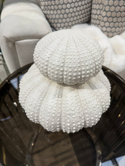 White Urchin Decor Set