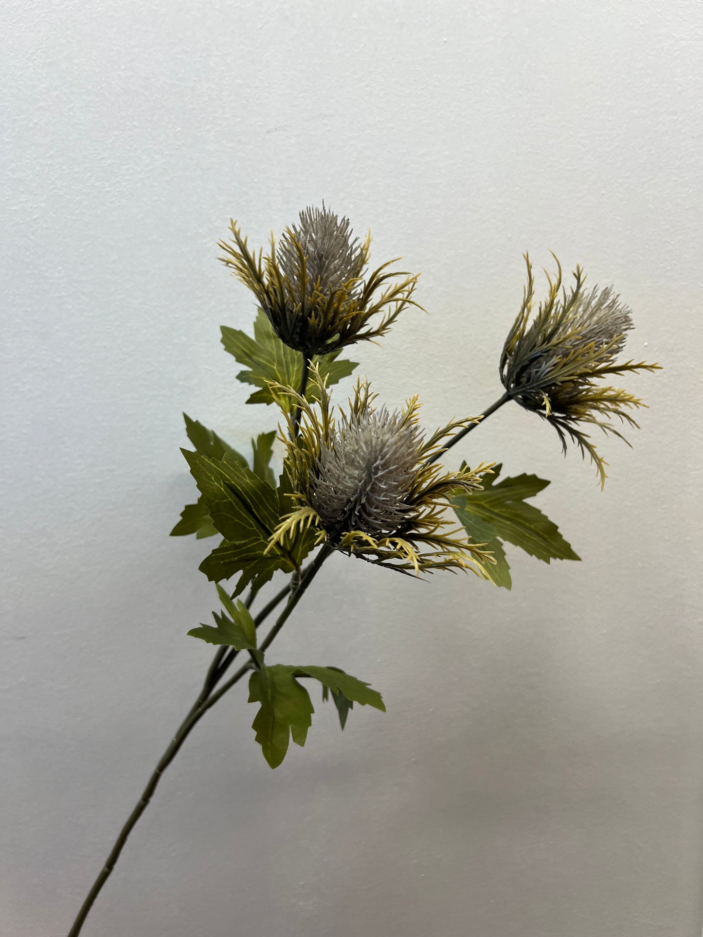 67cm Teasel Spray Grey