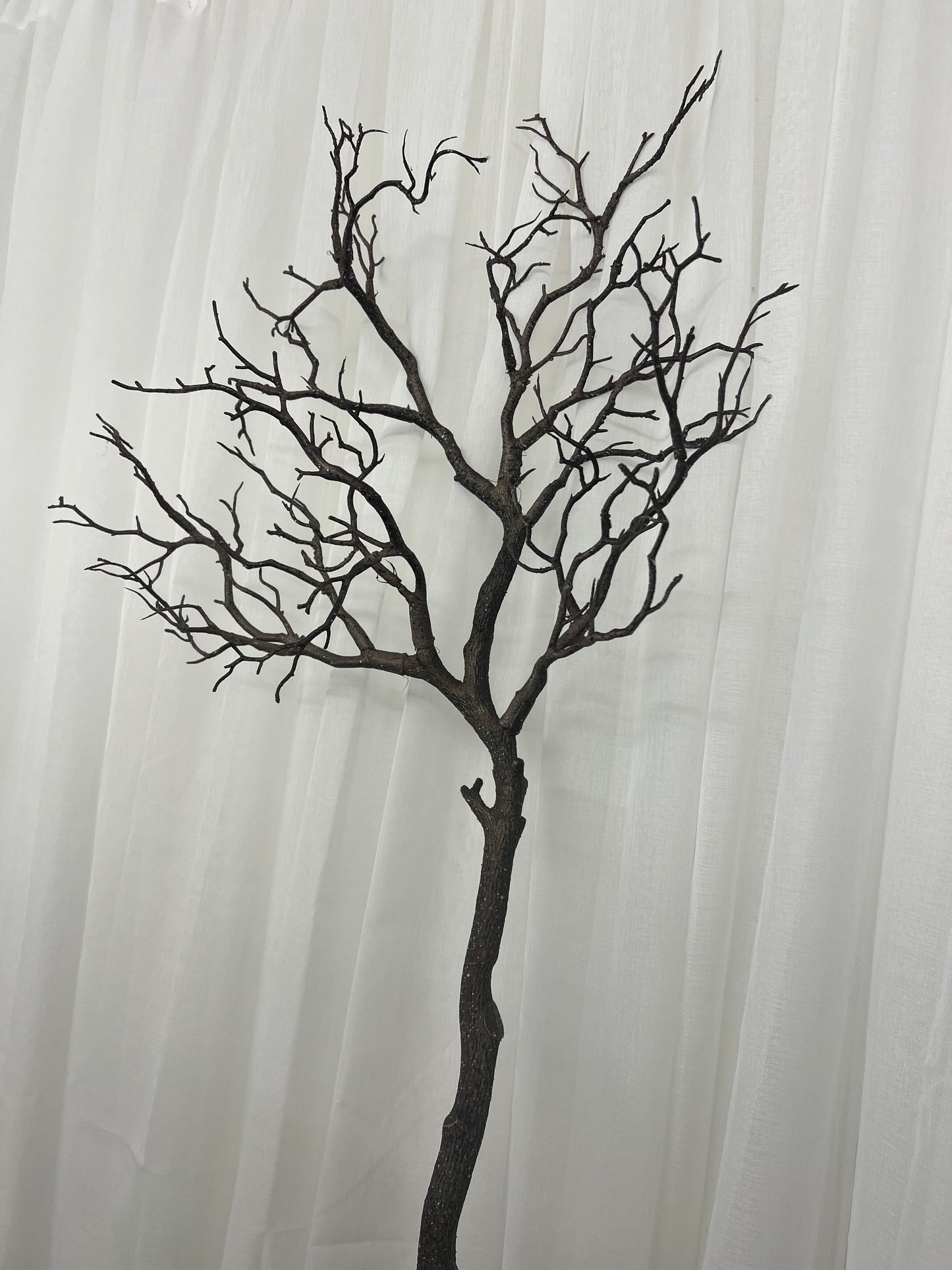Large Branch Spray