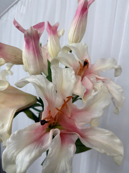 Lillie Spray Stems