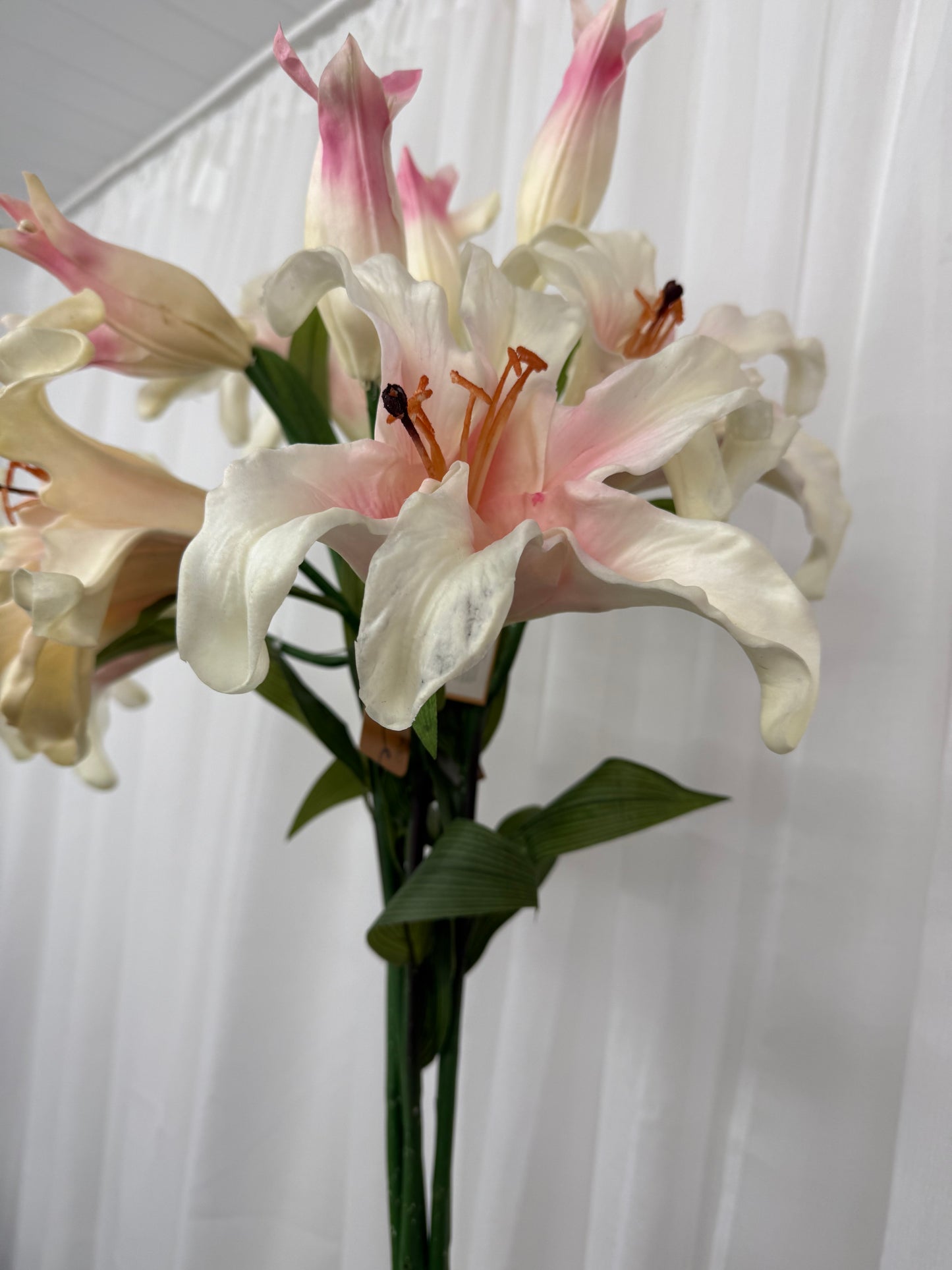 Lillie Spray Stems