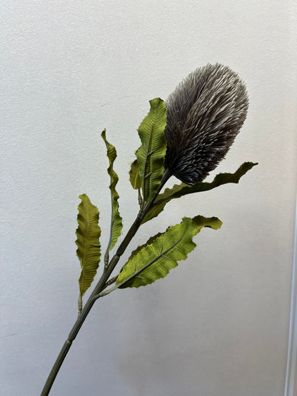 65cm Large Banksia Grey