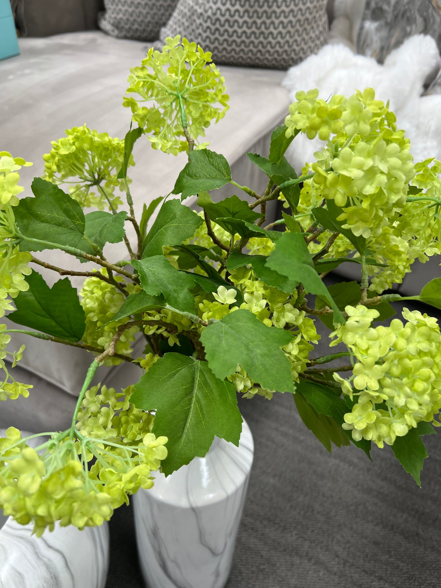 Green Viburnum Spray