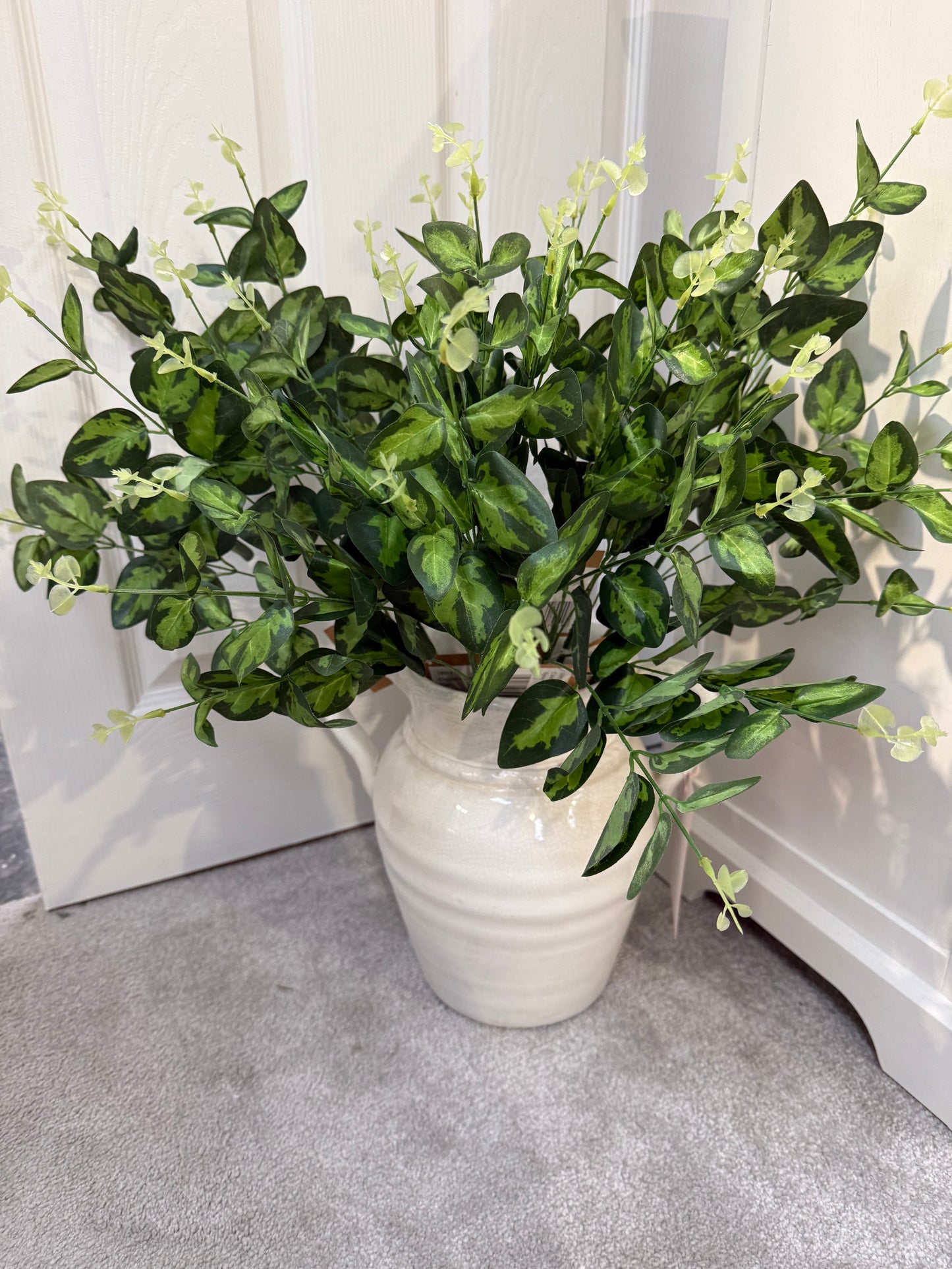 Cineraria Eucalyptus Spray