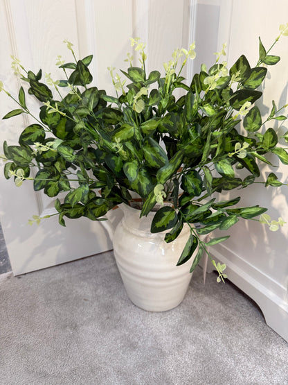 Cineraria Eucalyptus Spray