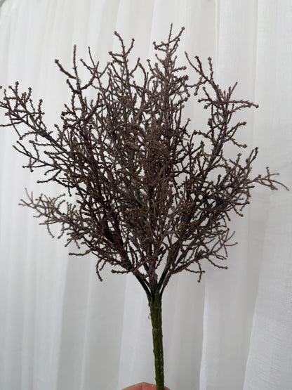 Coral Grass Bush